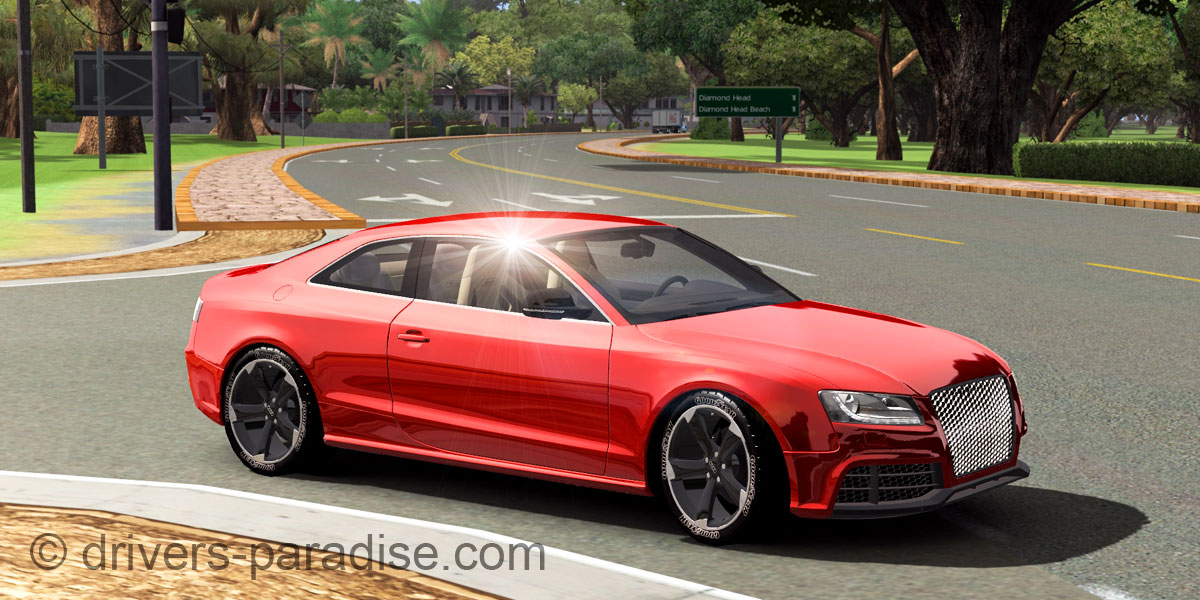 Audi RS 5 quattro [8T]