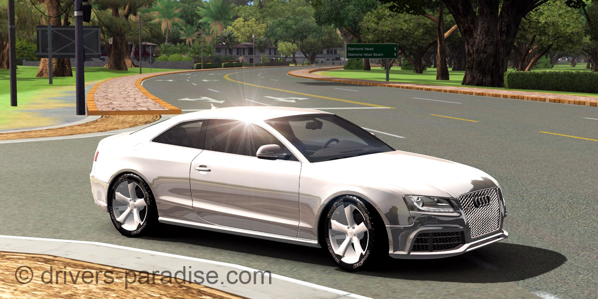 Audi RS 5 quattro [8T]