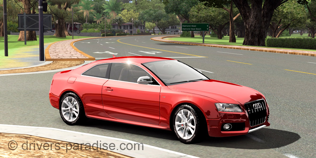 Audi S5 [8T]