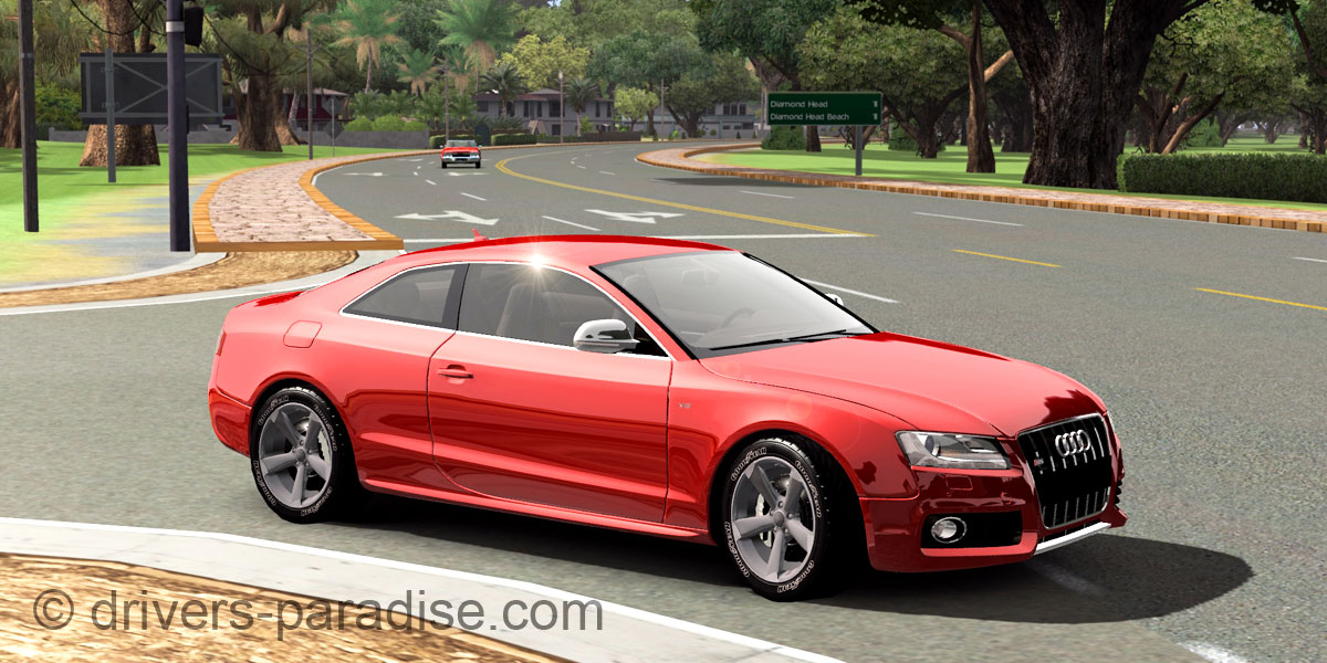 Audi S5 [8T]