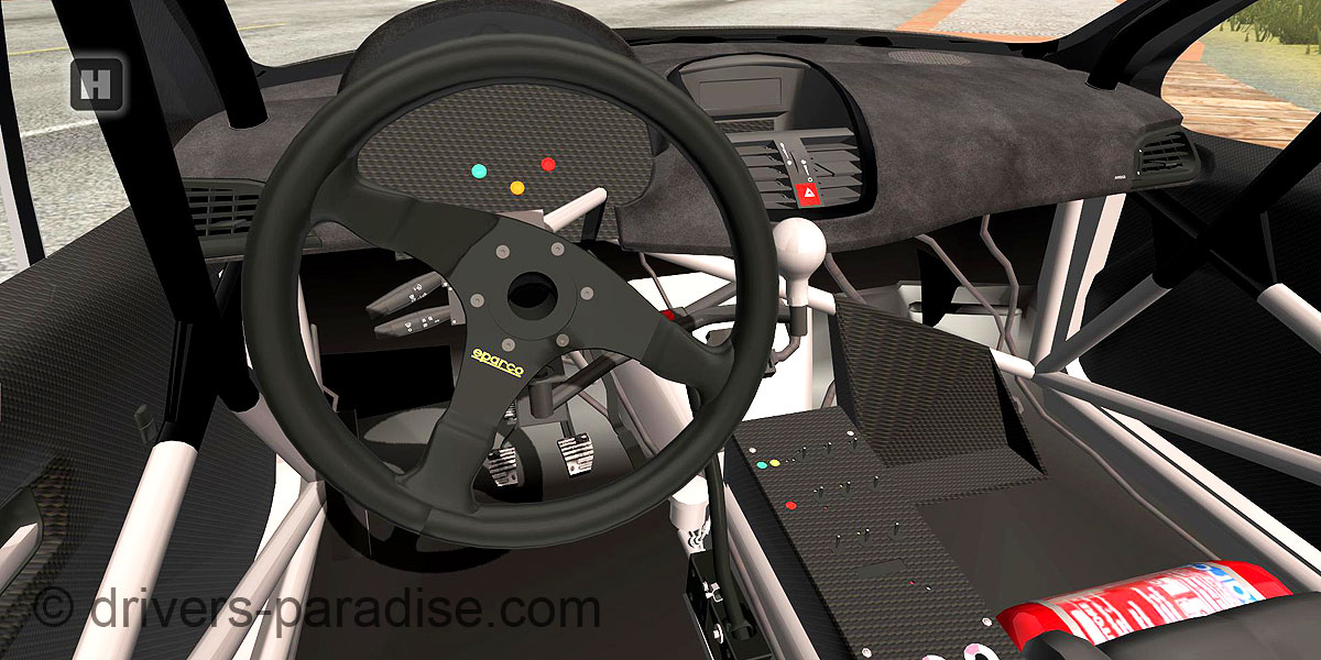 Peugeot 207 Super 2000