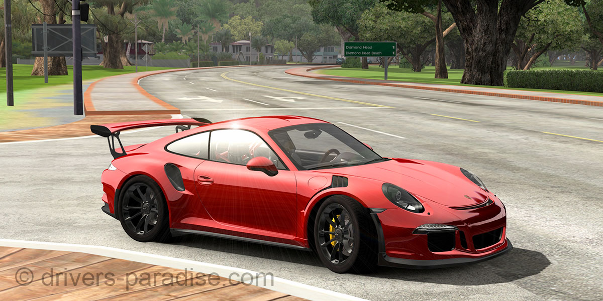 Porsche 911 GT3 RS [991]