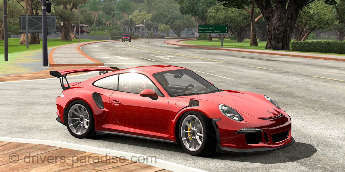 Porsche 911 GT3 RS [991]