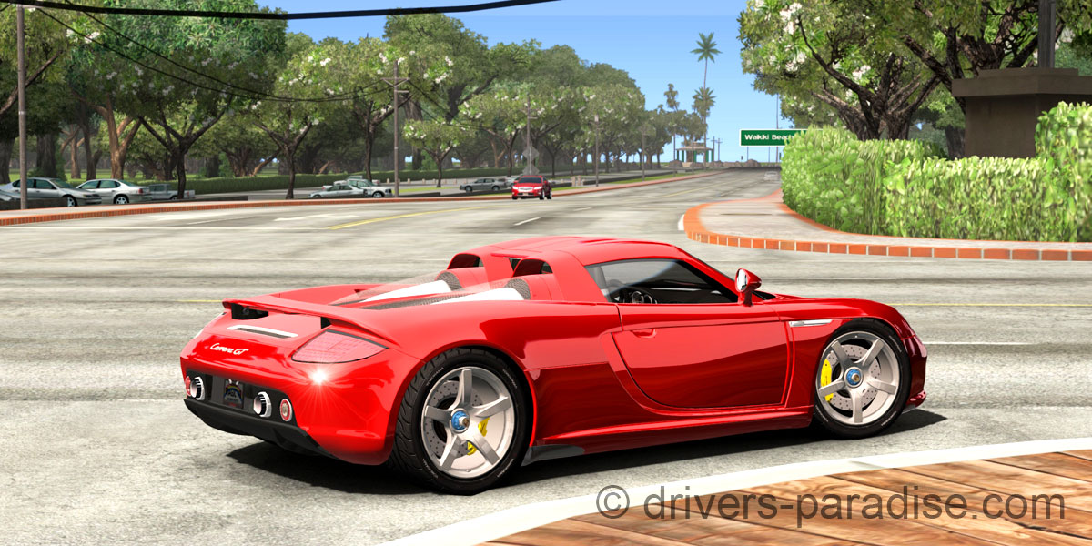 Porsche Carrera GT [980]