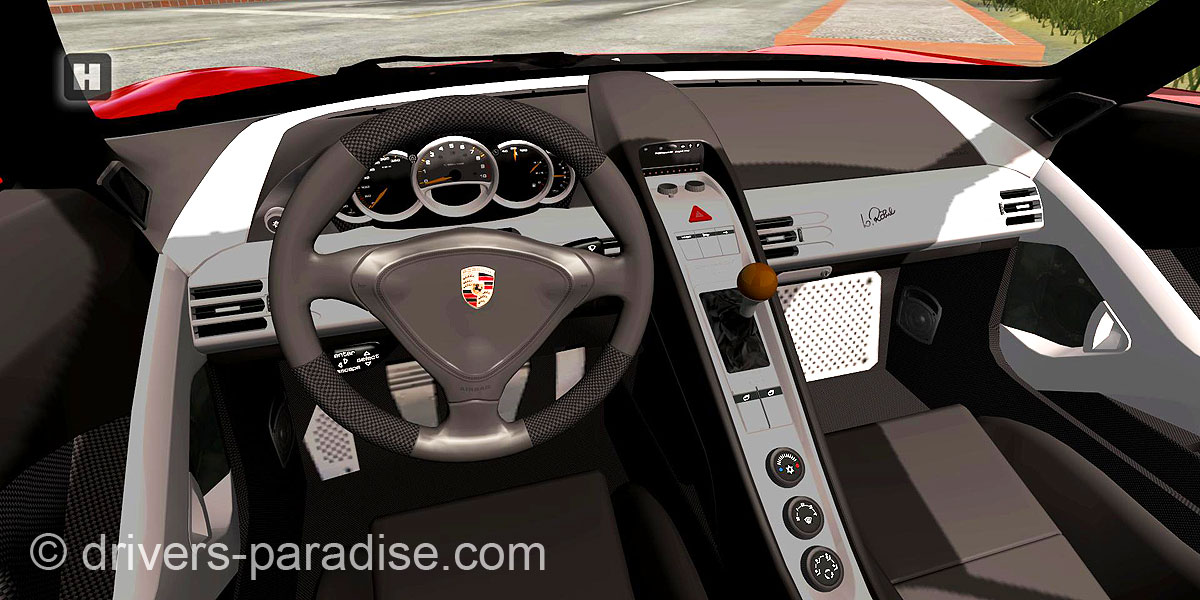 Porsche Carrera GT [980]