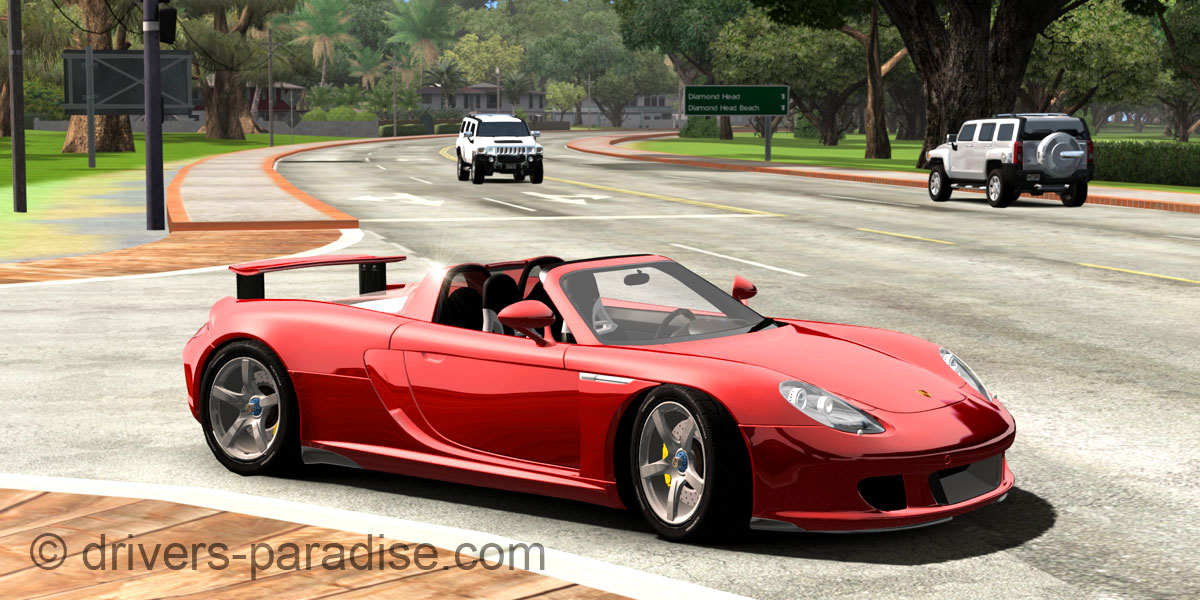 Porsche Carrera GT [980]