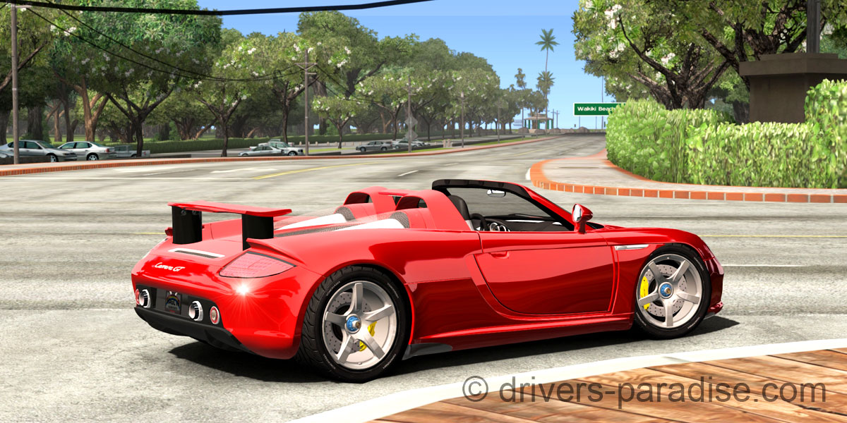 Porsche Carrera GT [980]