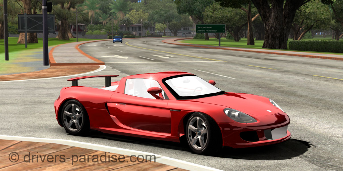 Porsche Carrera GT [980]