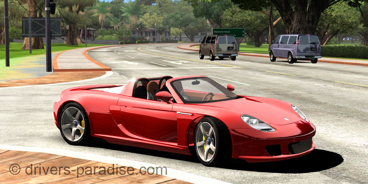 Porsche Carrera GT [980]