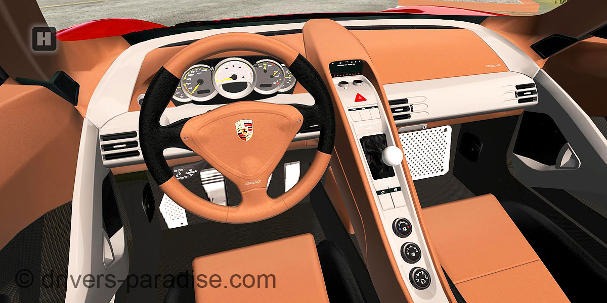 Porsche Carrera GT [980]