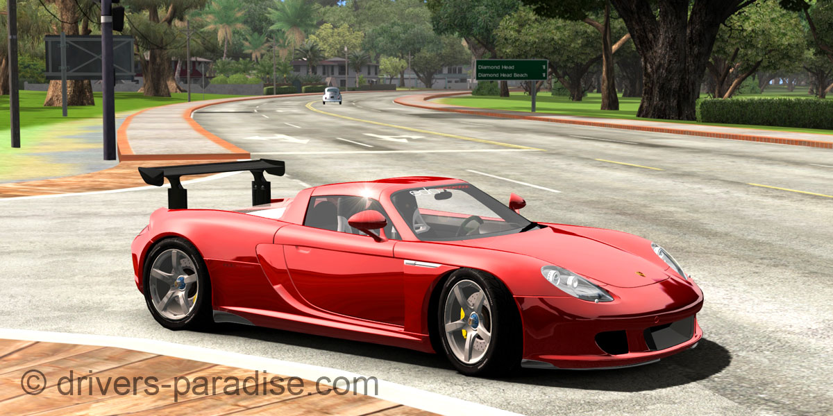 Porsche Carrera GT [980]