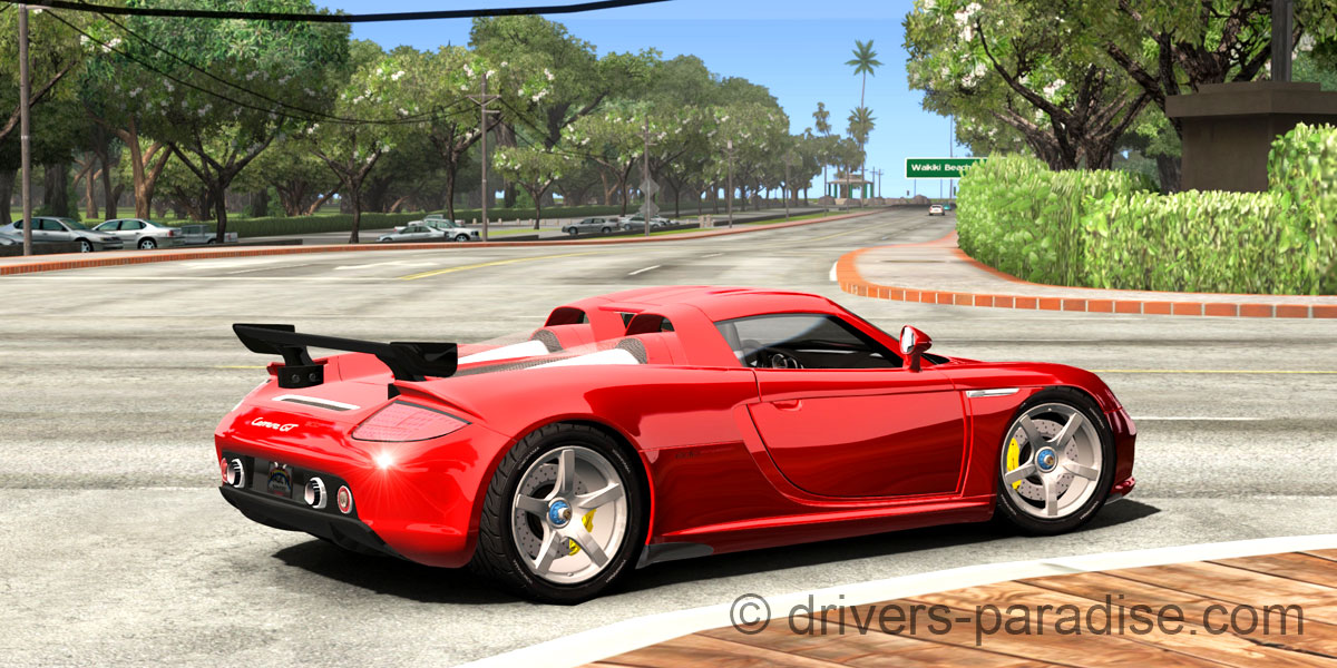 Porsche Carrera GT [980]