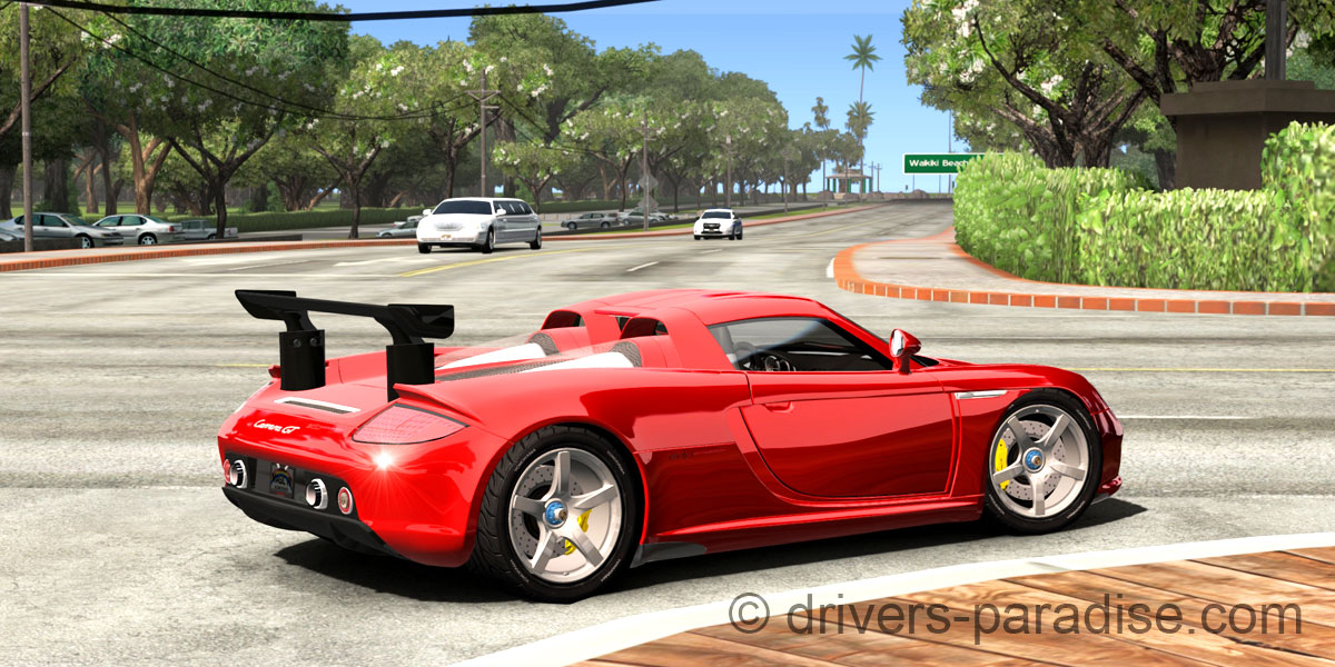 Porsche Carrera GT [980]