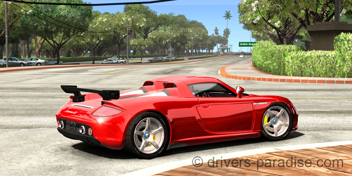 Porsche Carrera GT [980]