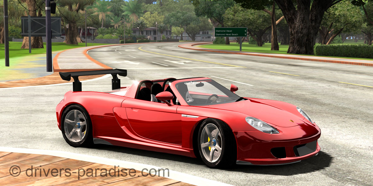 Porsche Carrera GT [980]