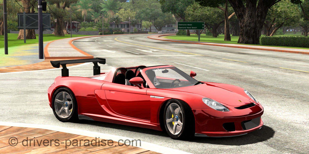 Porsche Carrera GT [980]