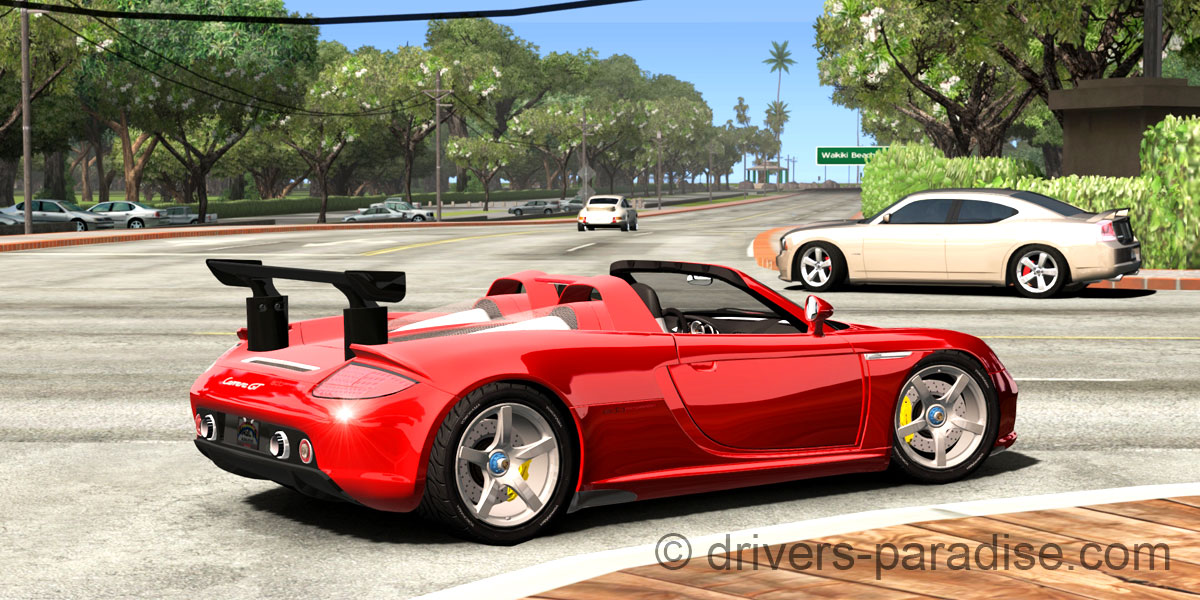 Porsche Carrera GT [980]