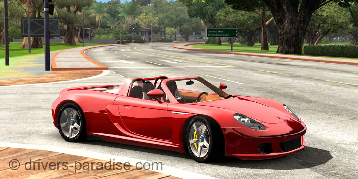 Porsche Carrera GT [980]