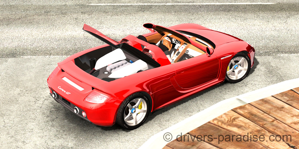 Porsche Carrera GT [980]