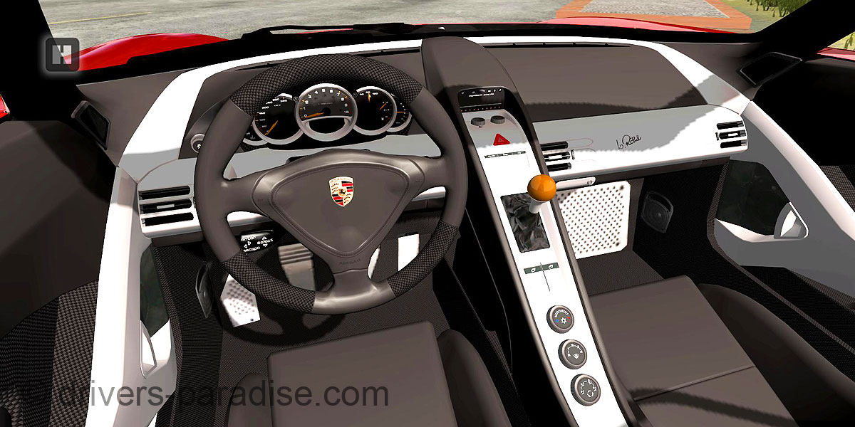 Porsche Carrera GT [980]