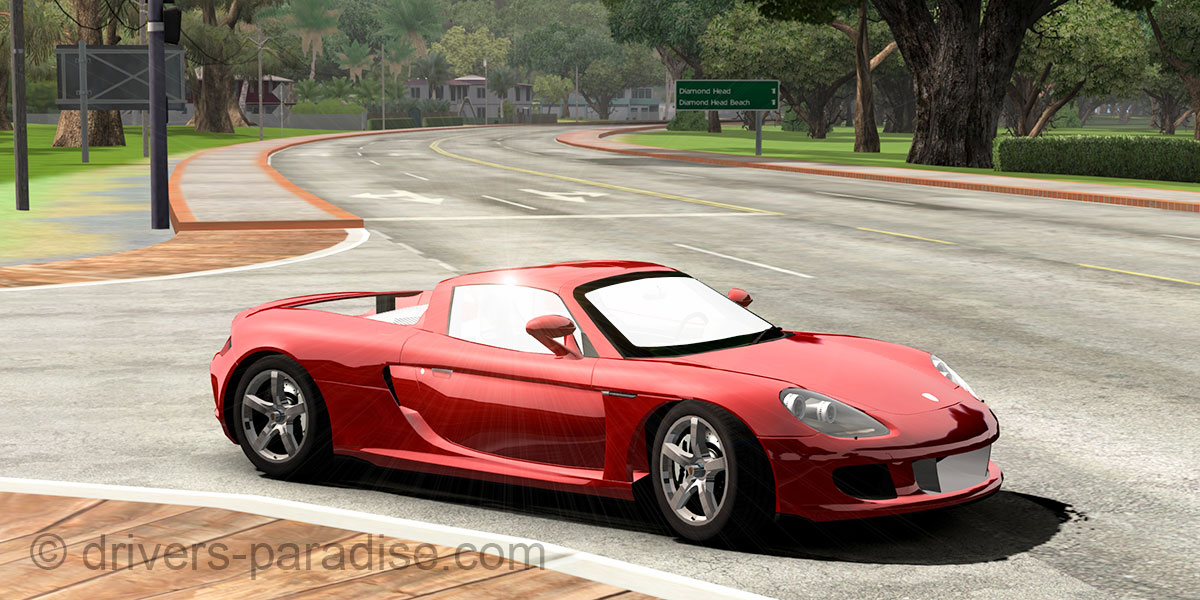 Porsche Carrera GT [980]