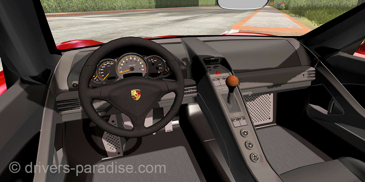 Porsche Carrera GT [980]