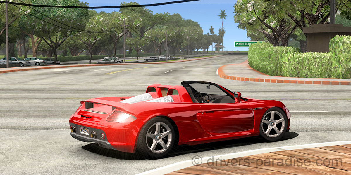 Porsche Carrera GT [980]