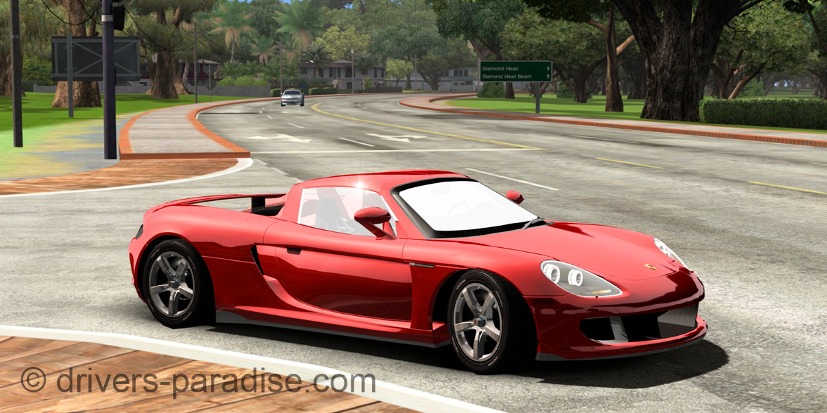 Porsche Carrera GT [980]