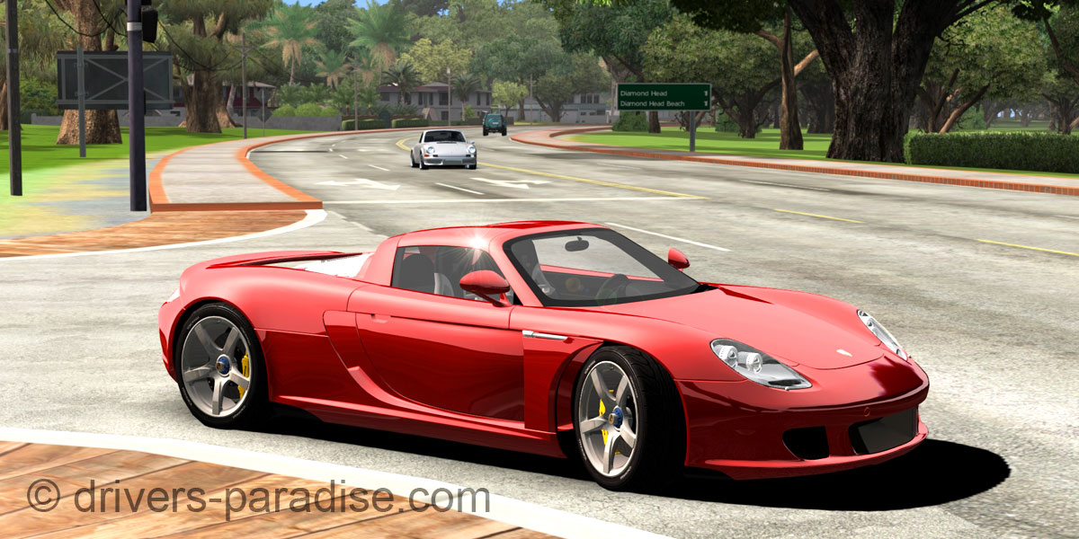 Porsche Carrera GT [980]