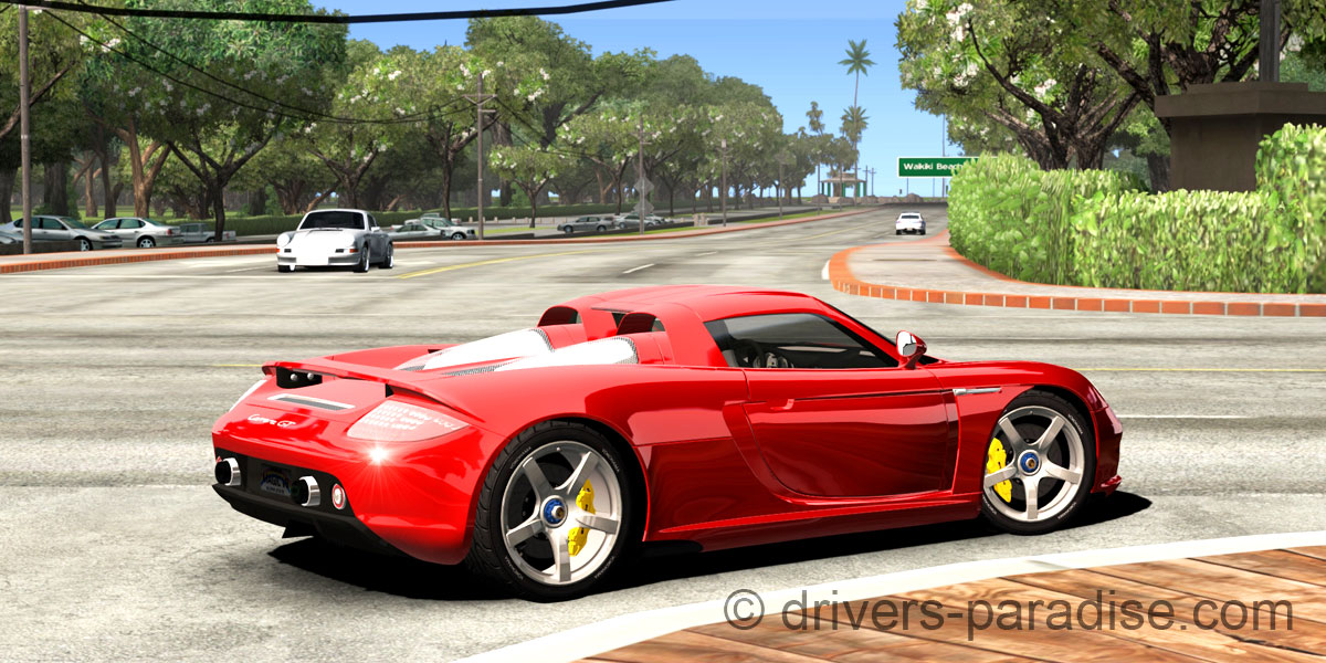 Porsche Carrera GT [980]