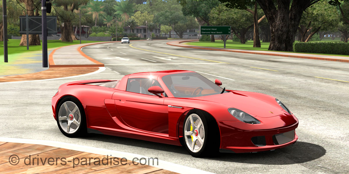 Porsche Carrera GT [980]
