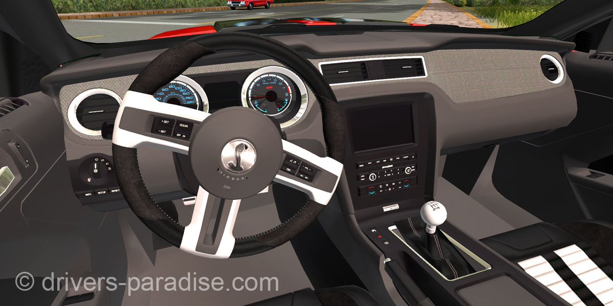 Shelby Mustang GT1000