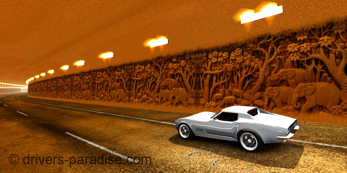 Hawaiian Paradise Tunnel