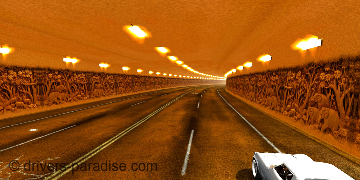 Hawaiian Paradise Tunnel