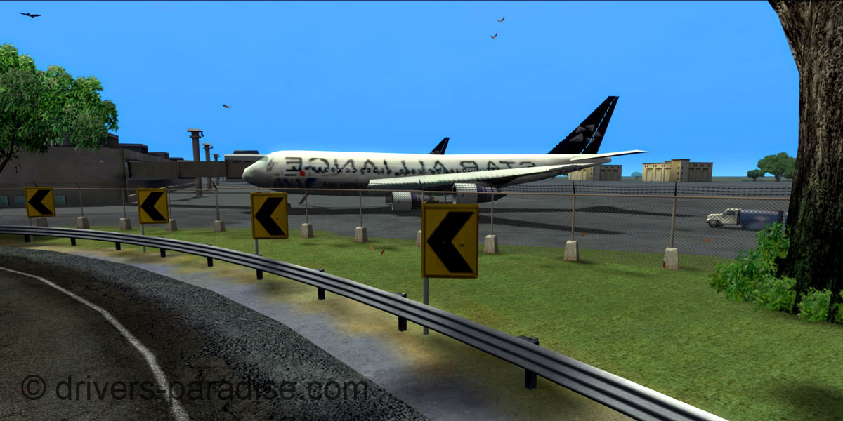 ANA Star Alliance (reverse)