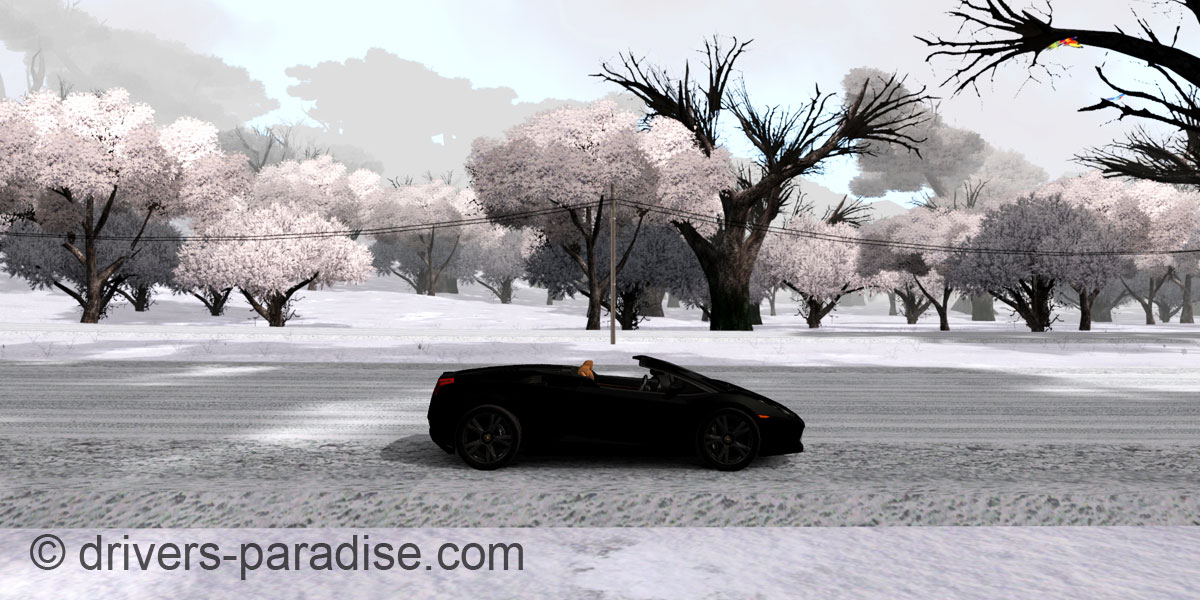 Island Paradise - Winter Edition