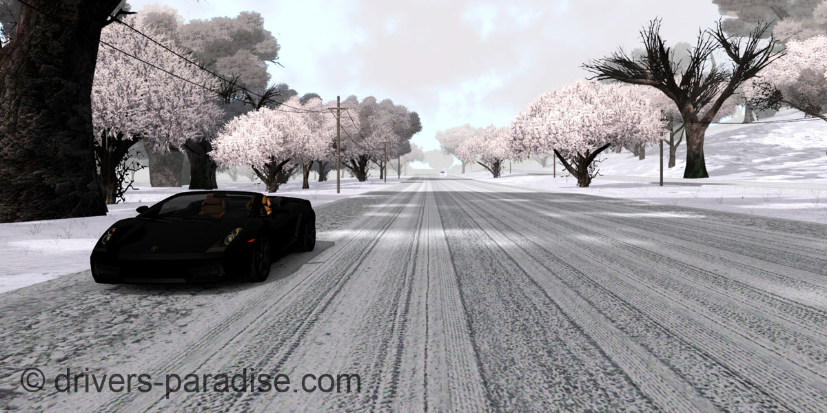 Island Paradise - Winter Edition