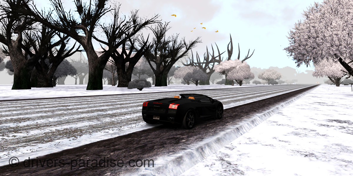 Island Paradise - Winter Edition