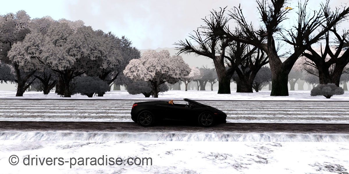 Island Paradise - Winter Edition