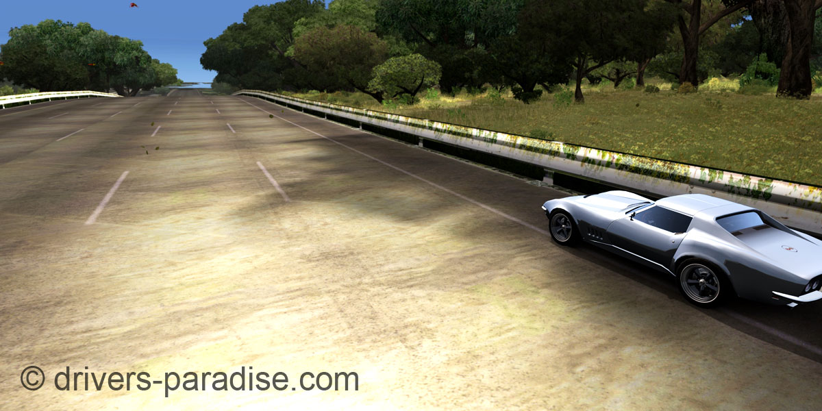 Ray sensitive Road