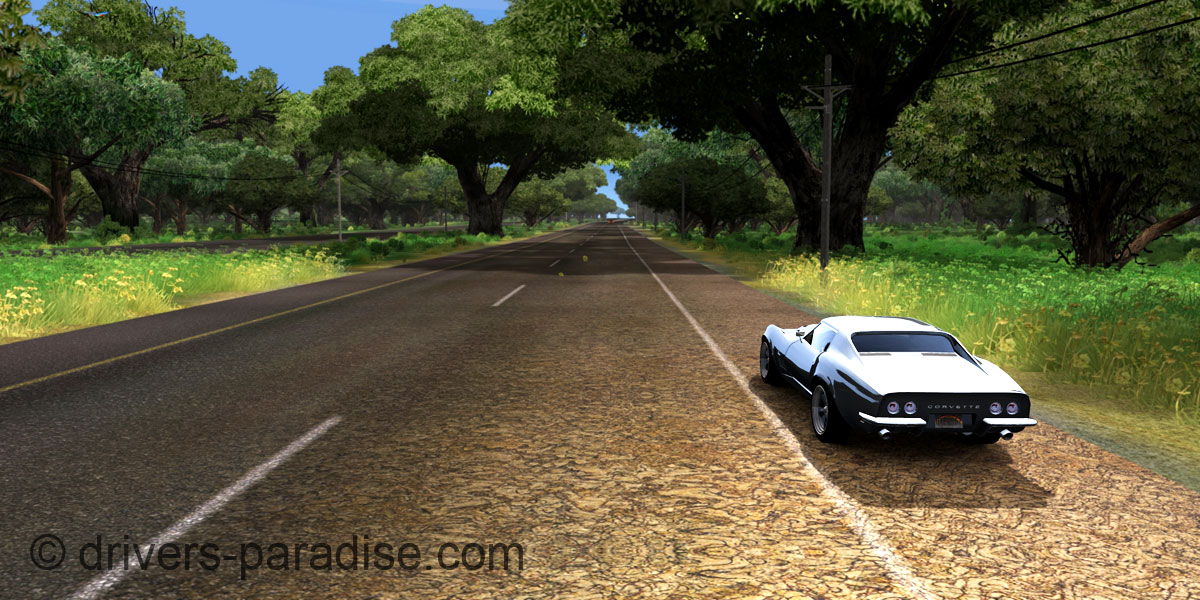 Ray sensitive Road