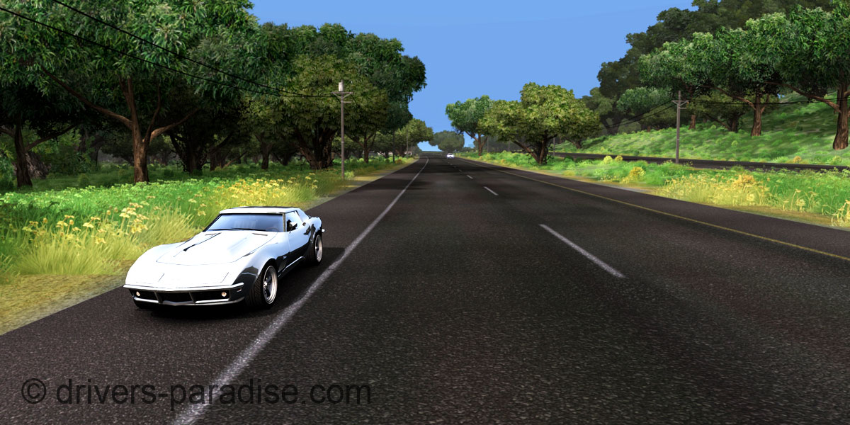 Ray sensitive Road