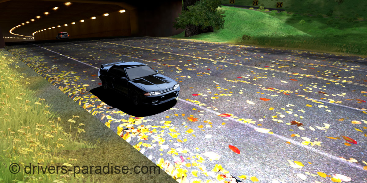 Ray sensitive Road
