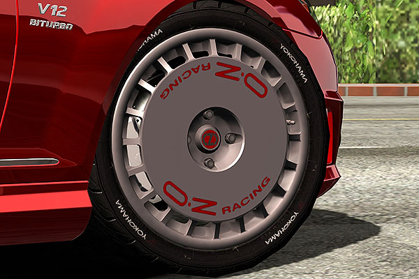 OZ-Racing Rally Racing