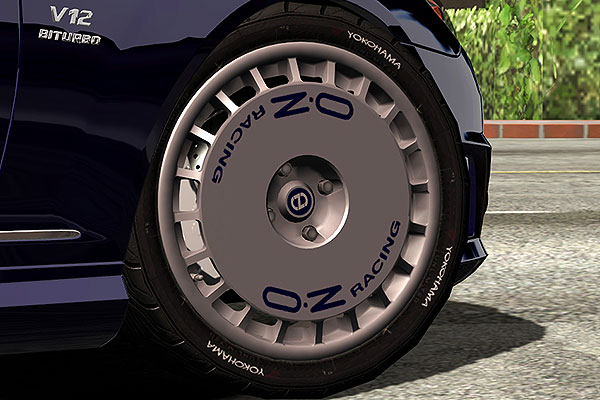 OZ-Racing Rally Racing